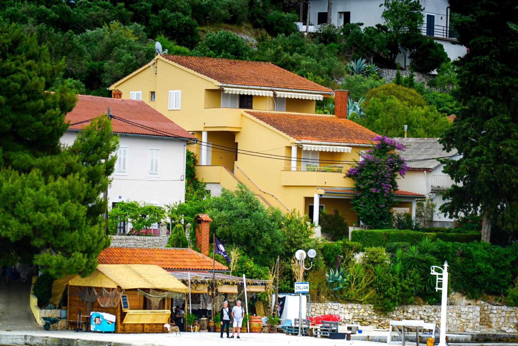 Apartments Osljak 普莱克 外观 照片