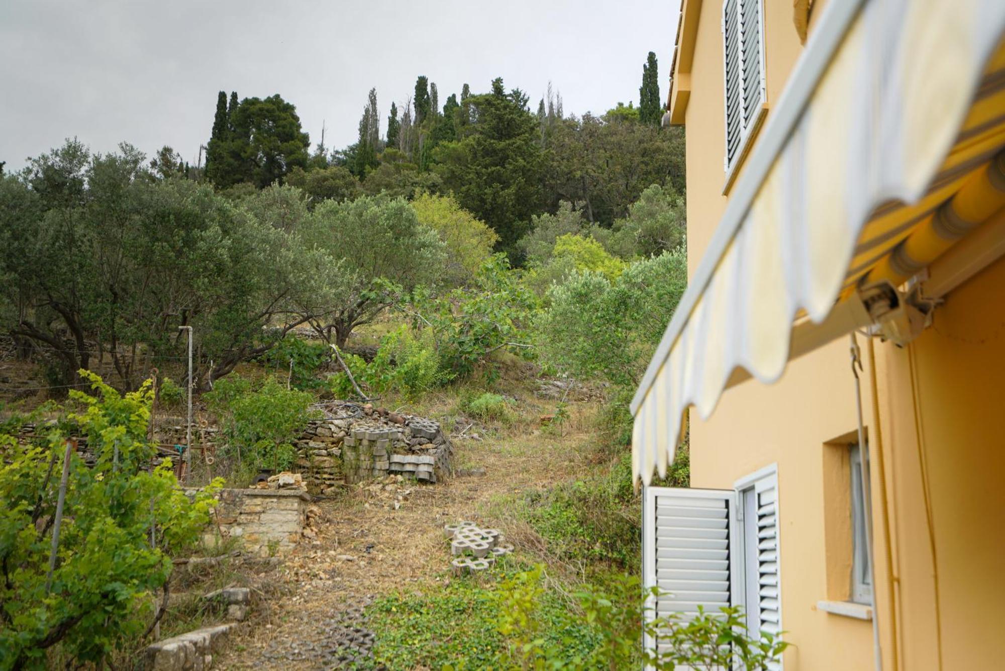 Apartments Osljak 普莱克 外观 照片